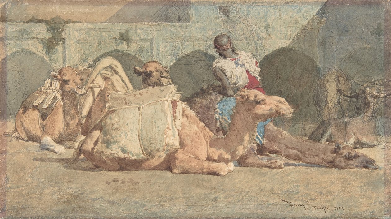 Camels Reposing, Tanger, kb. 1854-74. alkotó: Mariano José María Bernardo Fortuny y Carbó