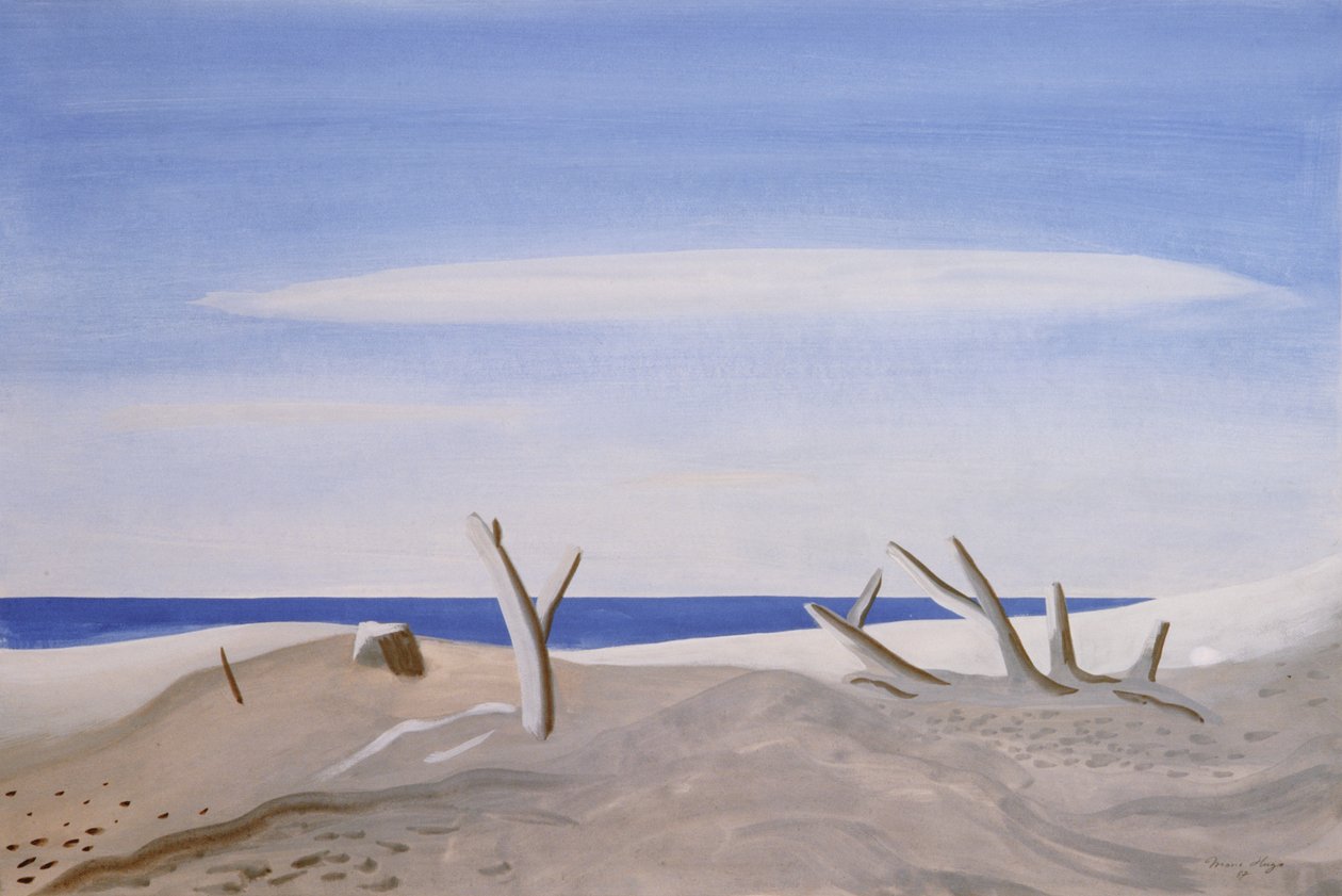 A nagytutaj úszói, 1987 alkotó: Marie Hugo