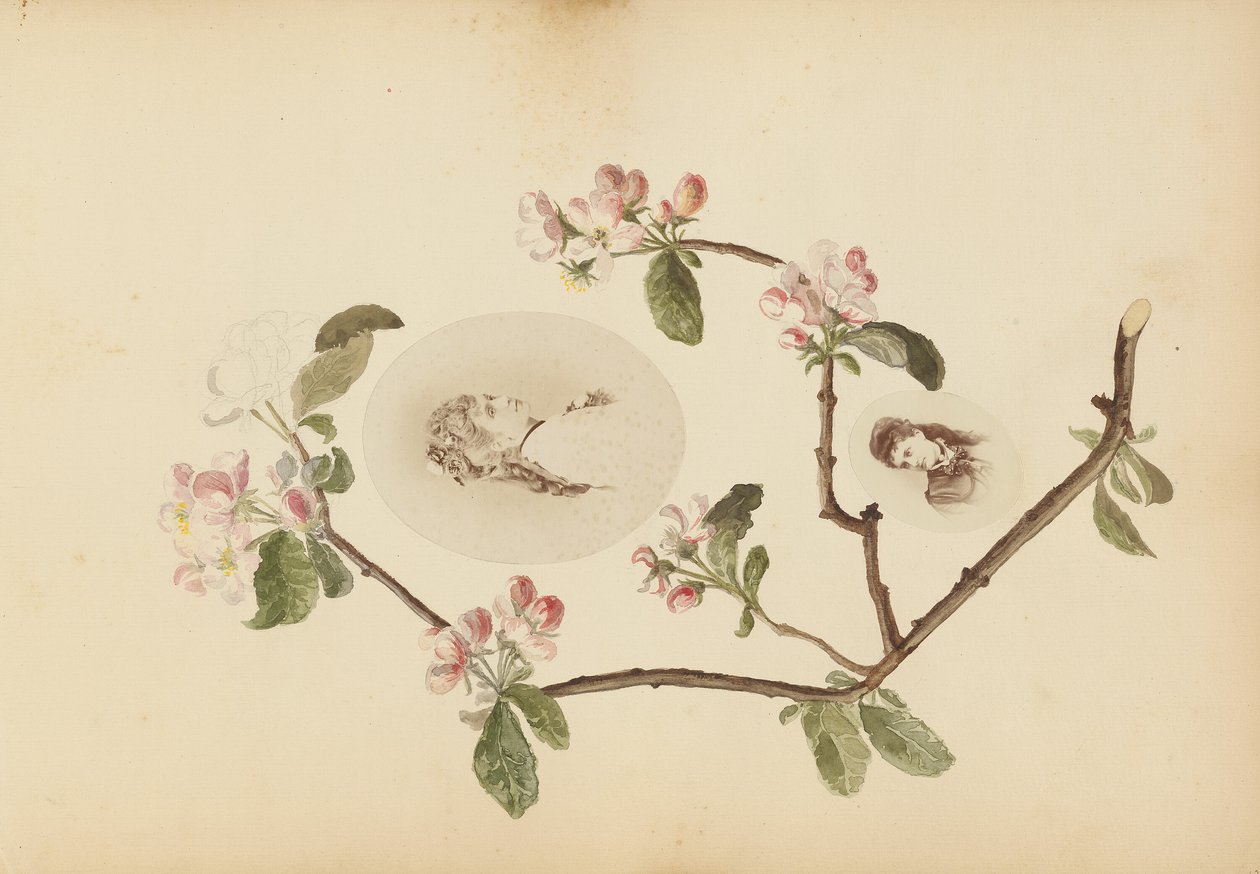 A Madame B album alkotó: Marie Blanche Hennelle Fournier
