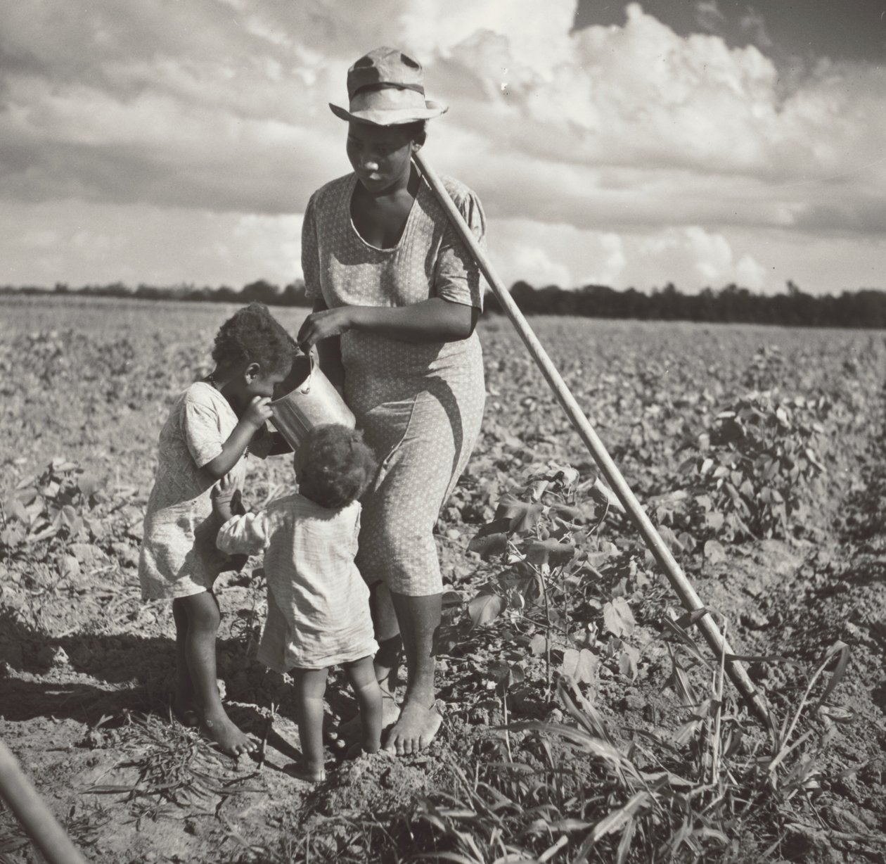 Fekete nő itatja gyermekeit a mezőn, ahol gyapotot kapál egy FSA szövetkezeti projektben (Allen Plantation). alkotó: Marion Post Wolcott