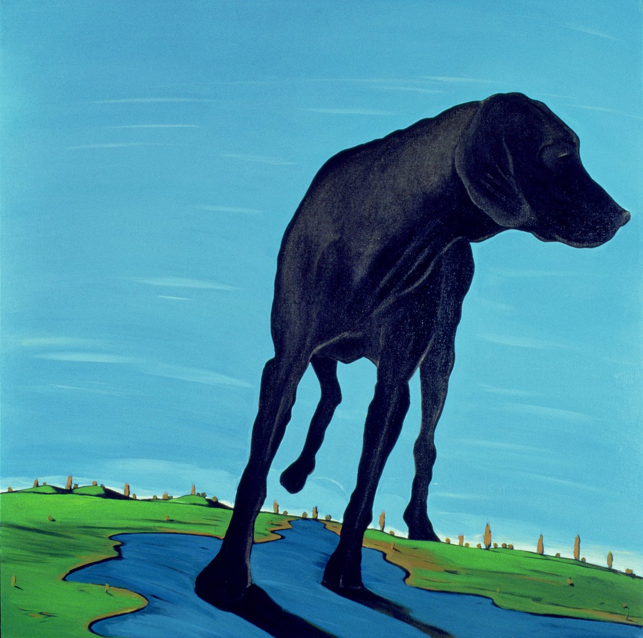 Joes Black Dog (új nézet), 2000 (akril, vászon) alkotó: Marjorie Weiss