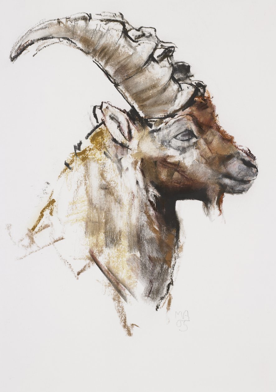 Fiatal férfi, 2005 (szén és konte papíron) alkotó: Mark Adlington