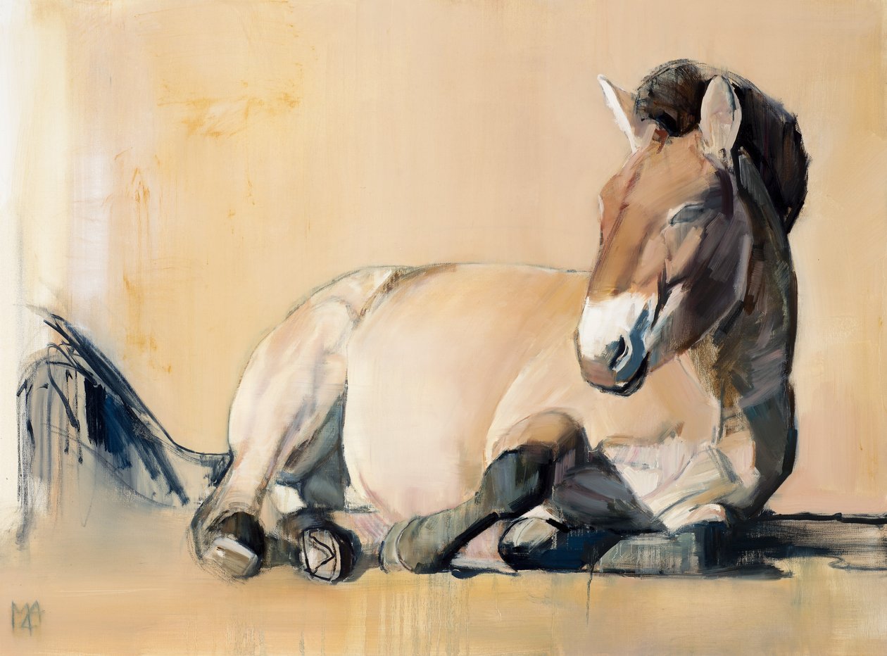 Plateau Sun (Przewalski), 2014, alkotó: Mark Adlington