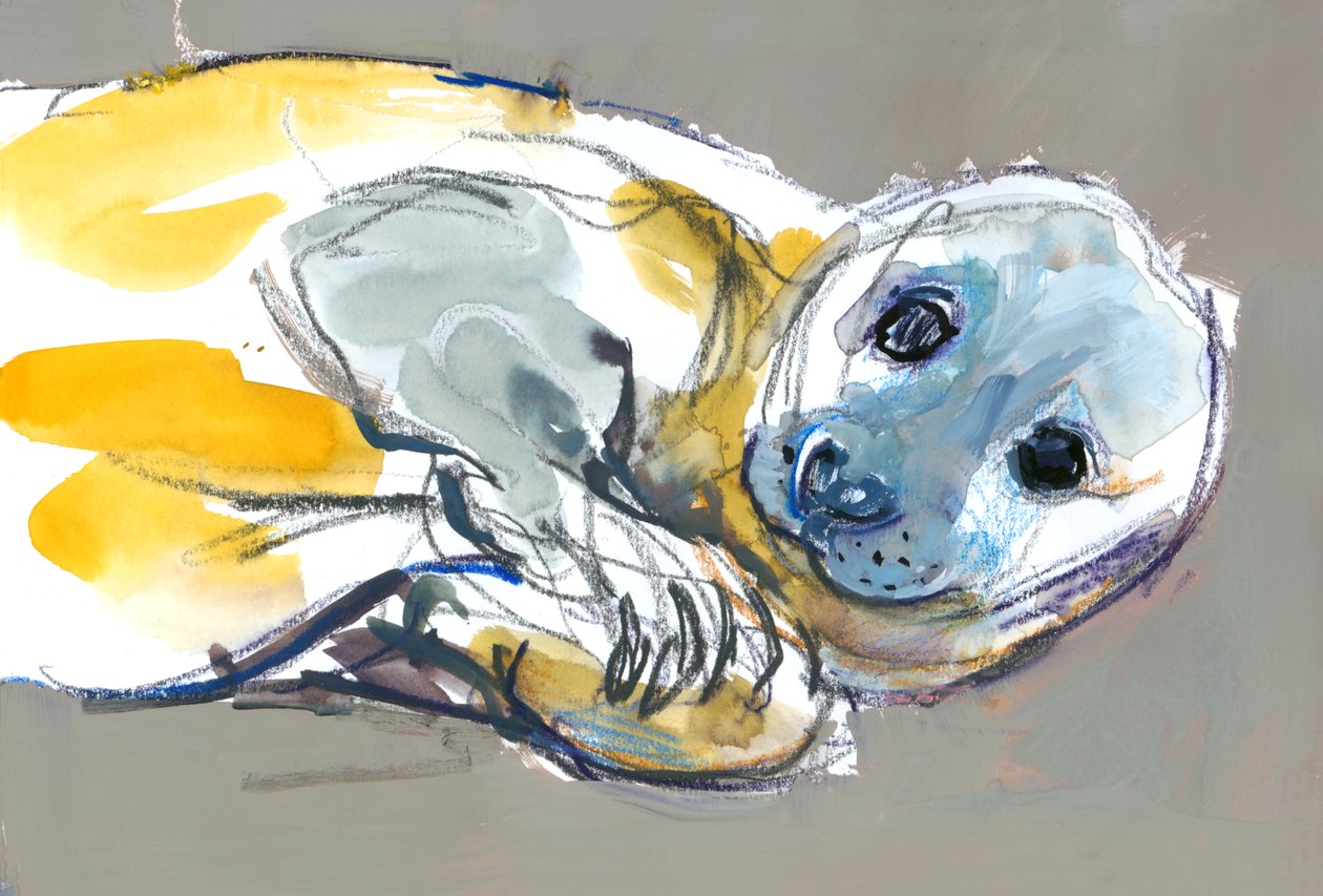 A Curious Confidence, 2023 alkotó: Mark Adlington
