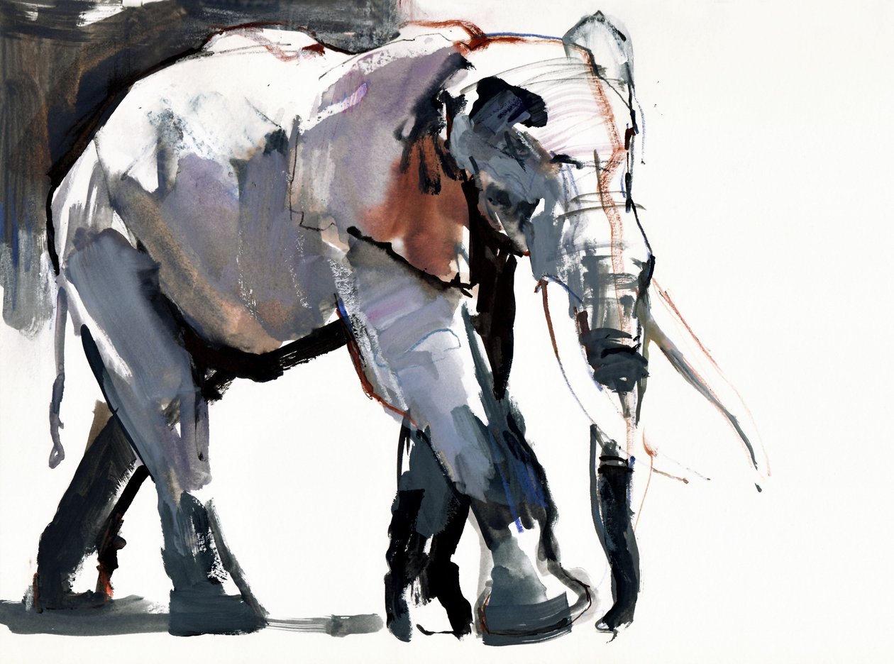 Afrikai elefánt, 2012, (vegyes média papíron) alkotó: Mark Adlington