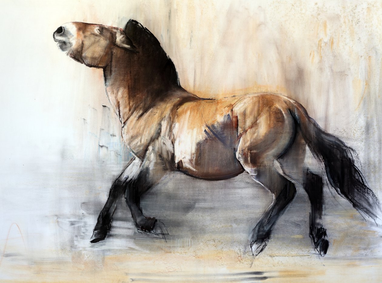 Ősi ló (Przewalski télen), 2014 alkotó: Mark Adlington