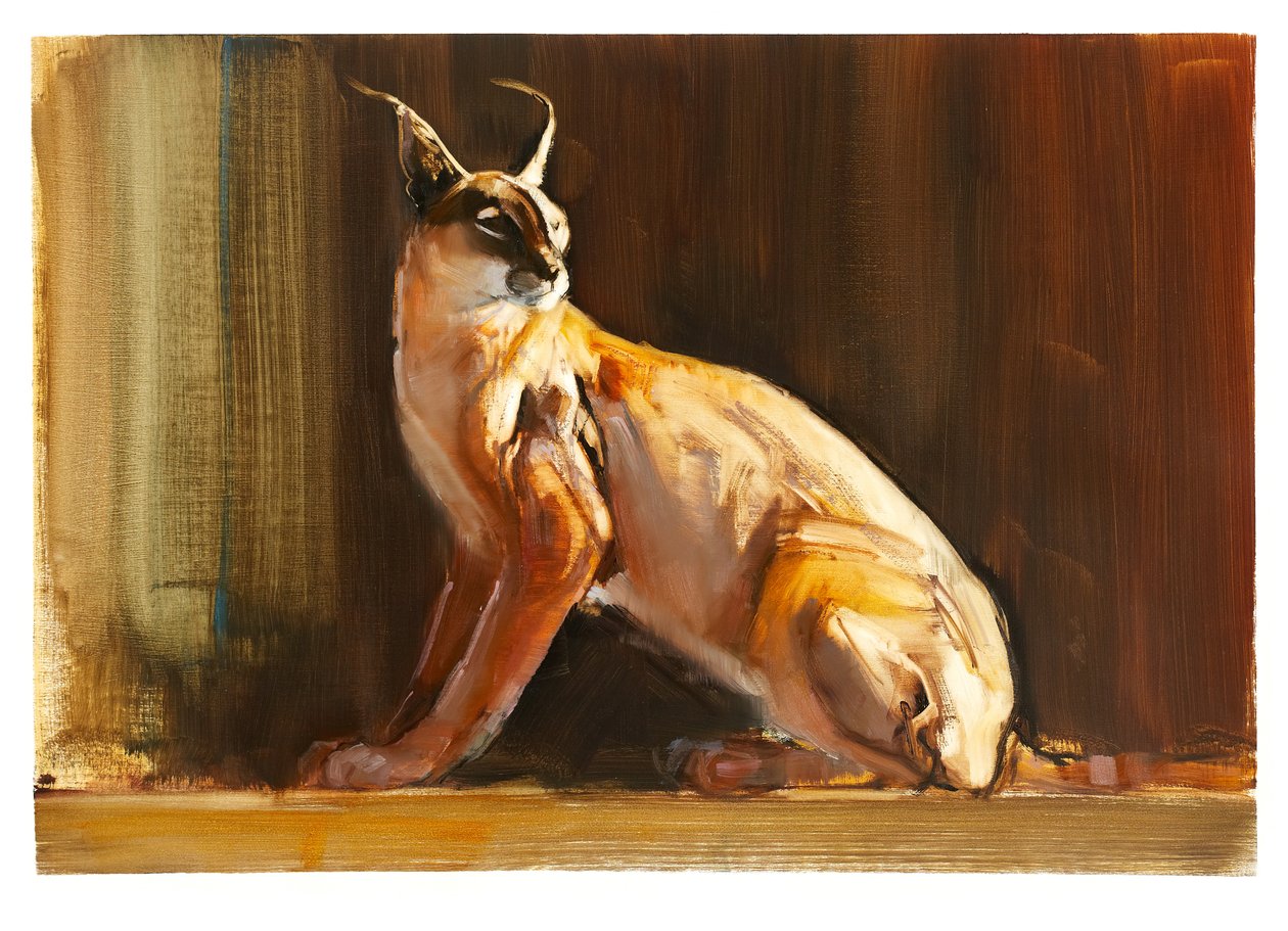 Arab Caracal, 2010 (olaj, papír) alkotó: Mark Adlington
