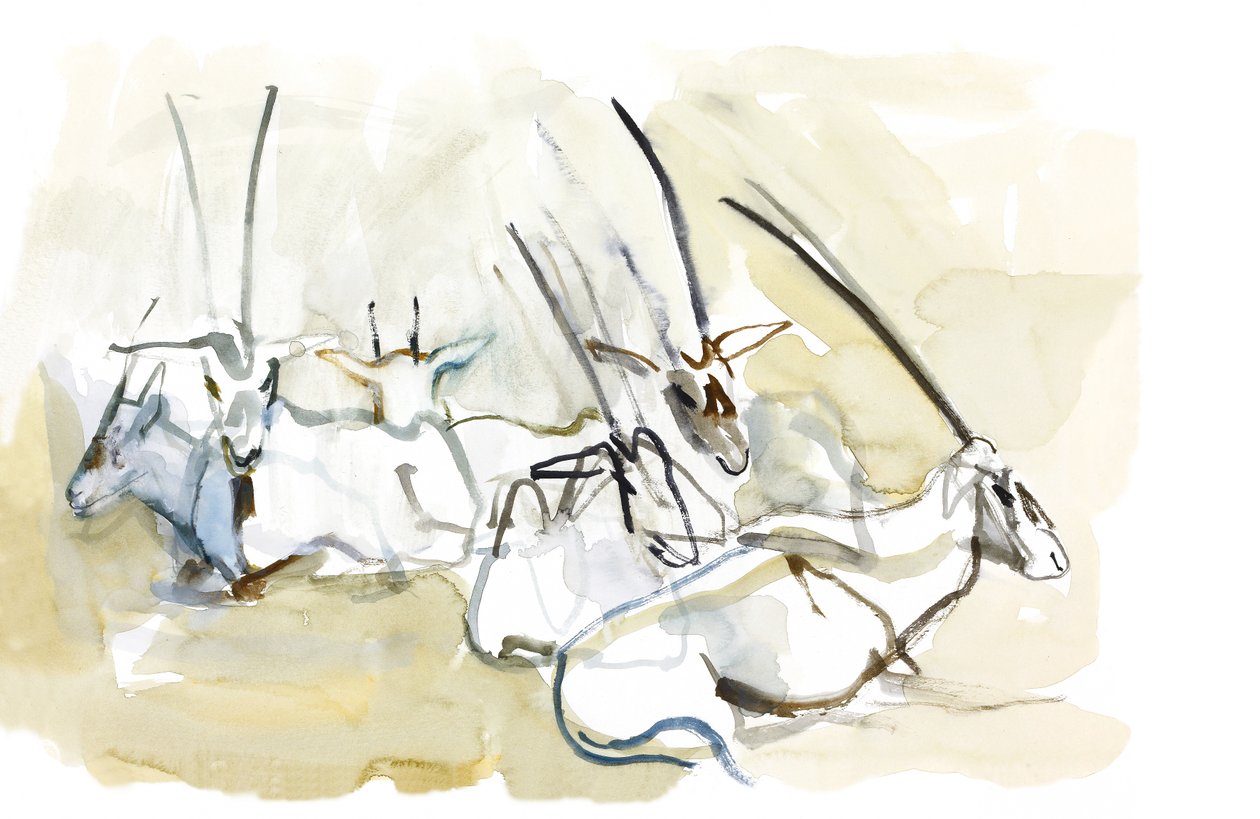 Arab orex, 2010 (olaj, papír) alkotó: Mark Adlington