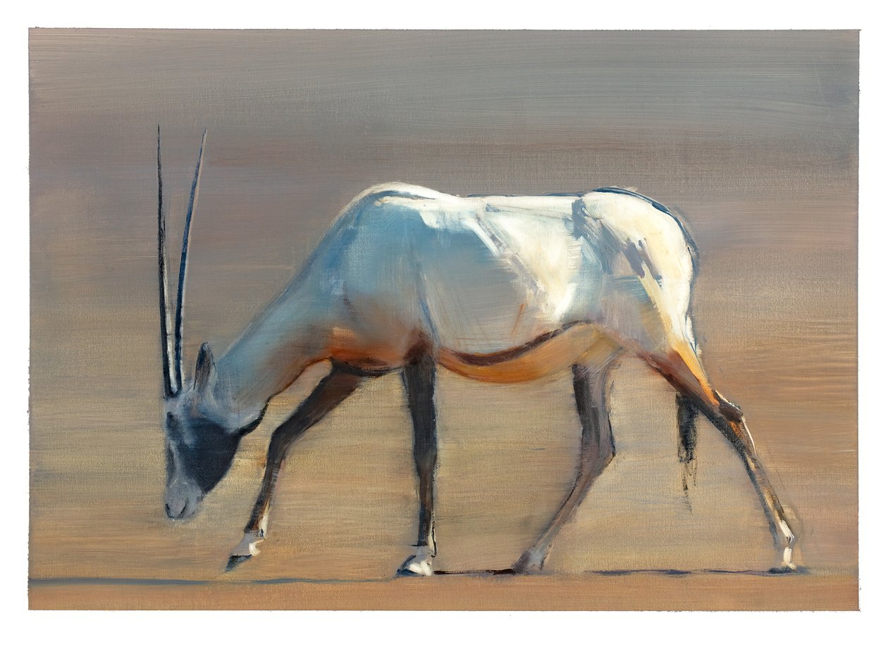 Arabian Oryx, 2010 (olaj, papír) alkotó: Mark Adlington