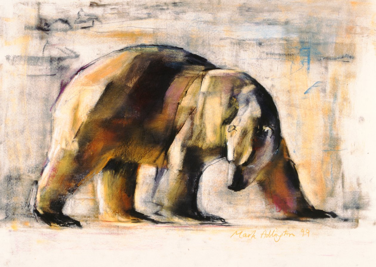 Arctic, 1999 (faszén és konte papíron) alkotó: Mark Adlington