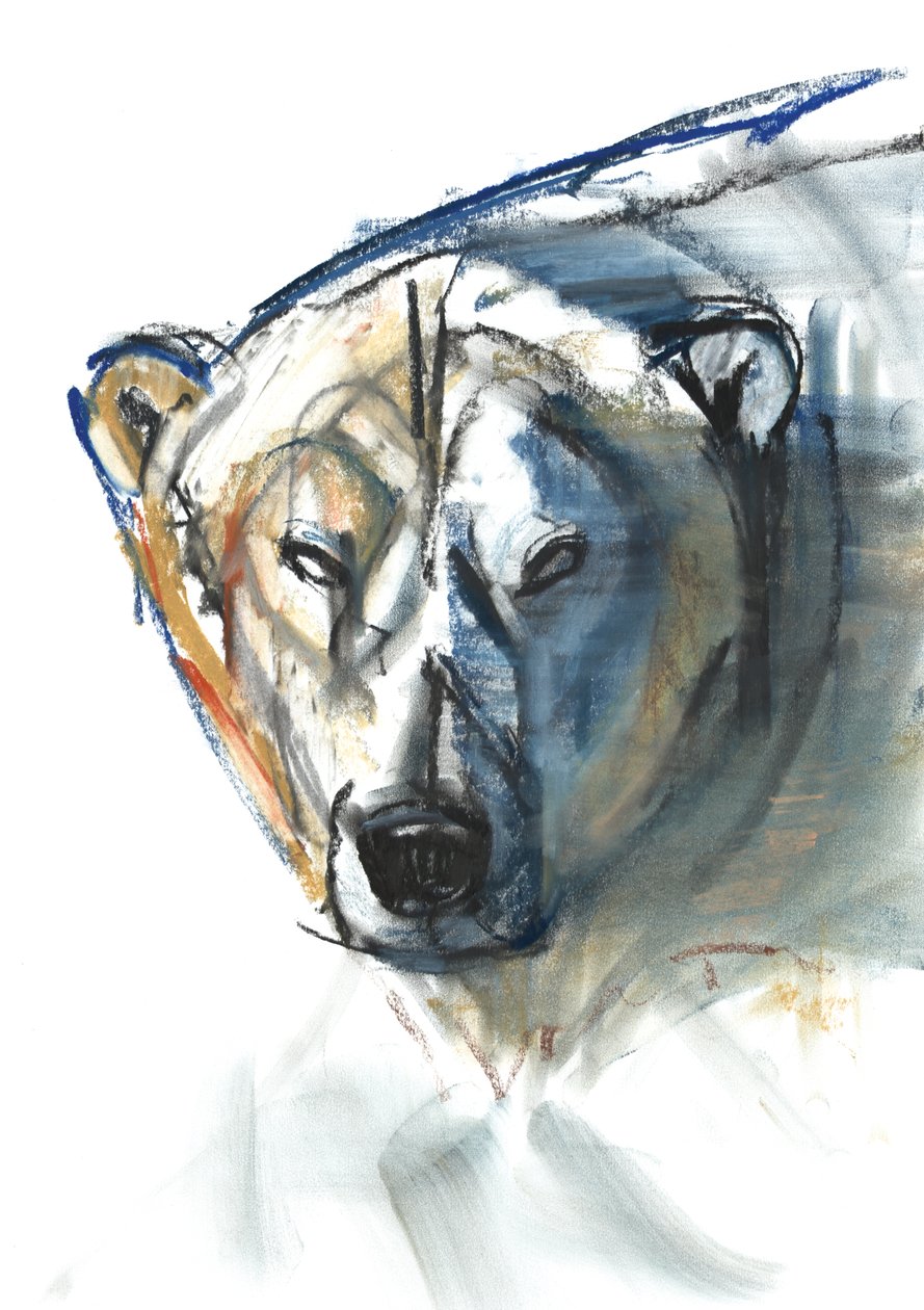 Arctic Icon, 2015, (konté és pasztell, papír) alkotó: Mark Adlington
