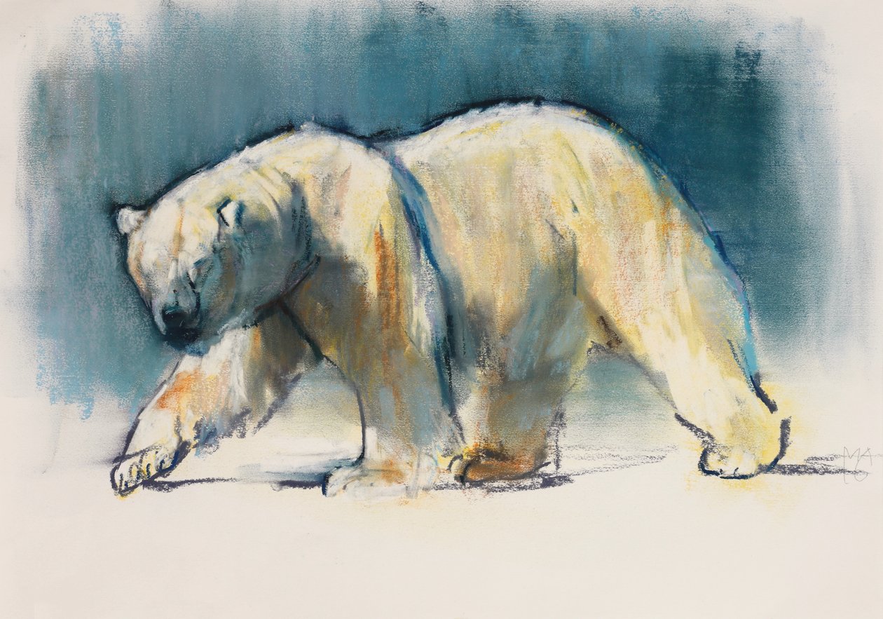 Arctic Light, 2017 alkotó: Mark Adlington