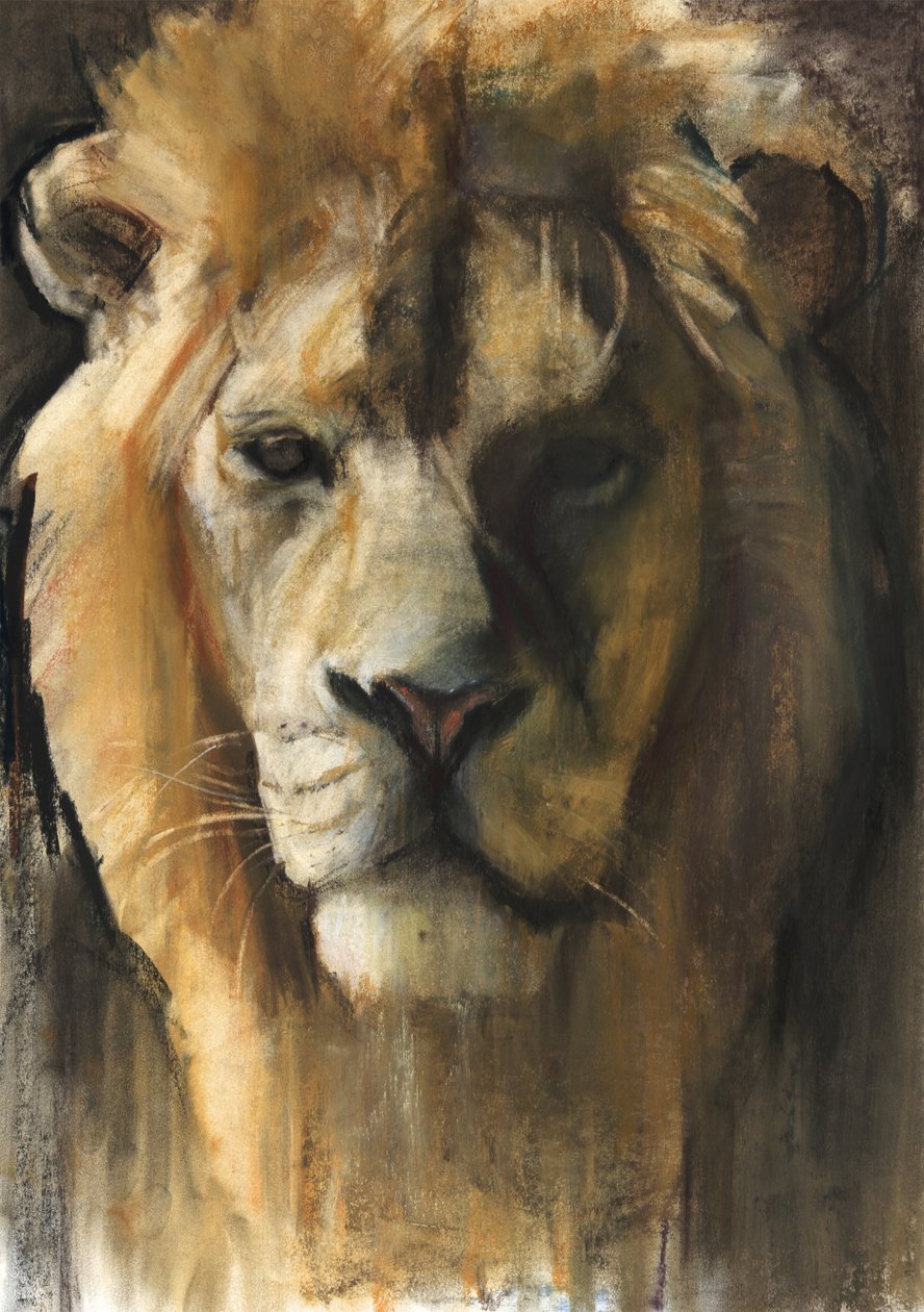 Ázsiai oroszlán, 2015, (pigment, pasztell és konté papíron) alkotó: Mark Adlington