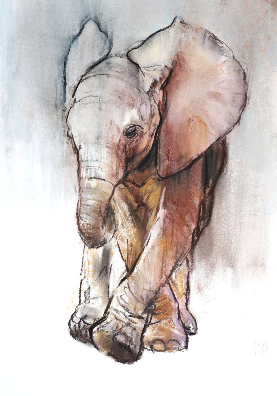 Baby Elephant 2, Loisaba, 2018 alkotó: Mark Adlington