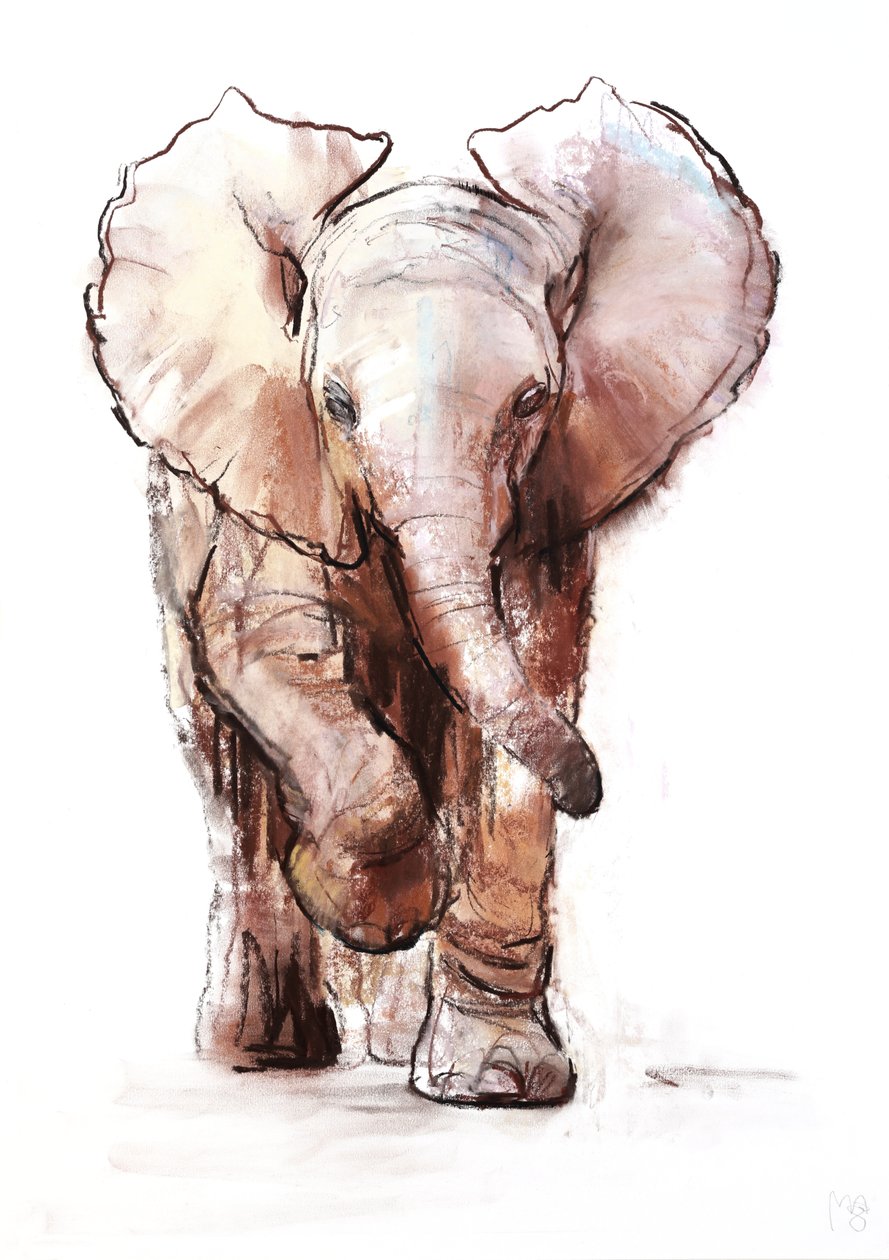 Baby Elephant, Loisaba, 2018 alkotó: Mark Adlington