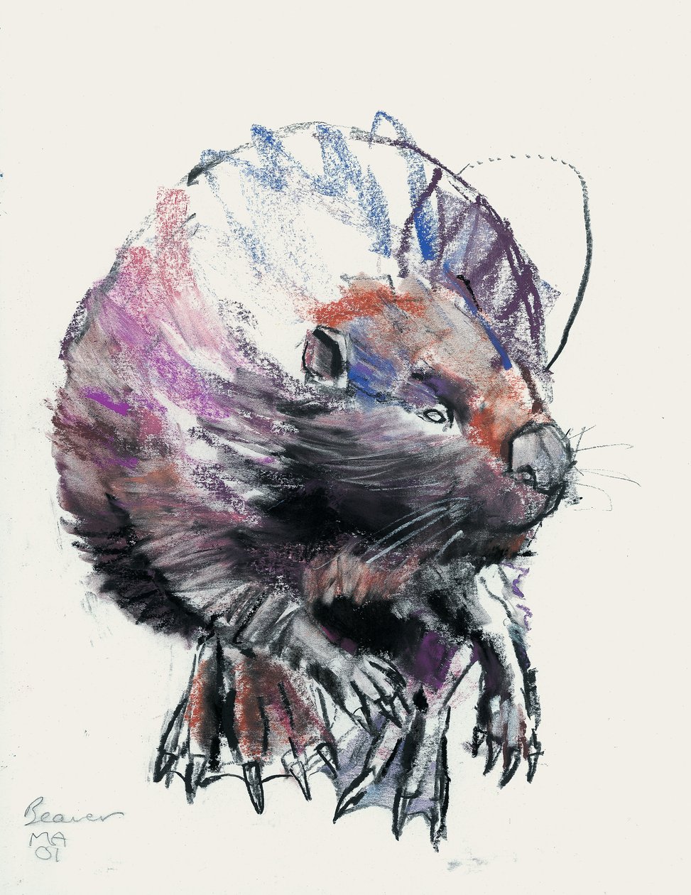 Beaver, 2001 (faszén és konte papíron) alkotó: Mark Adlington