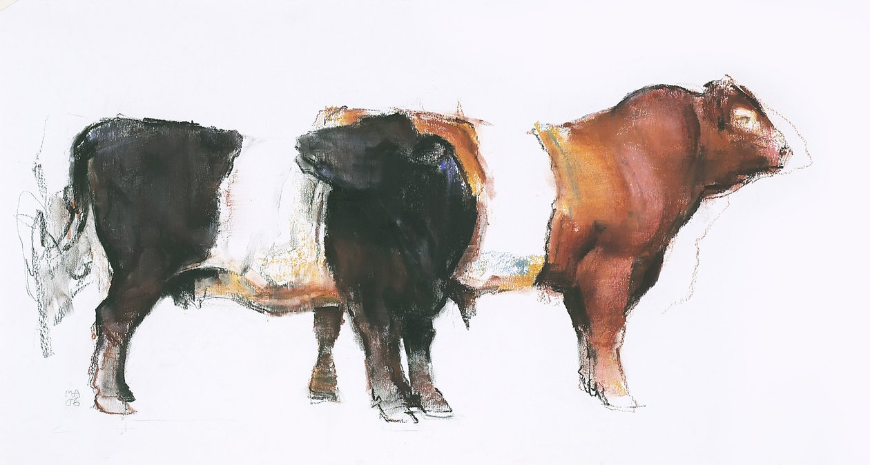 Belties, 2006 (charcoal und conte papíron) alkotó: Mark Adlington