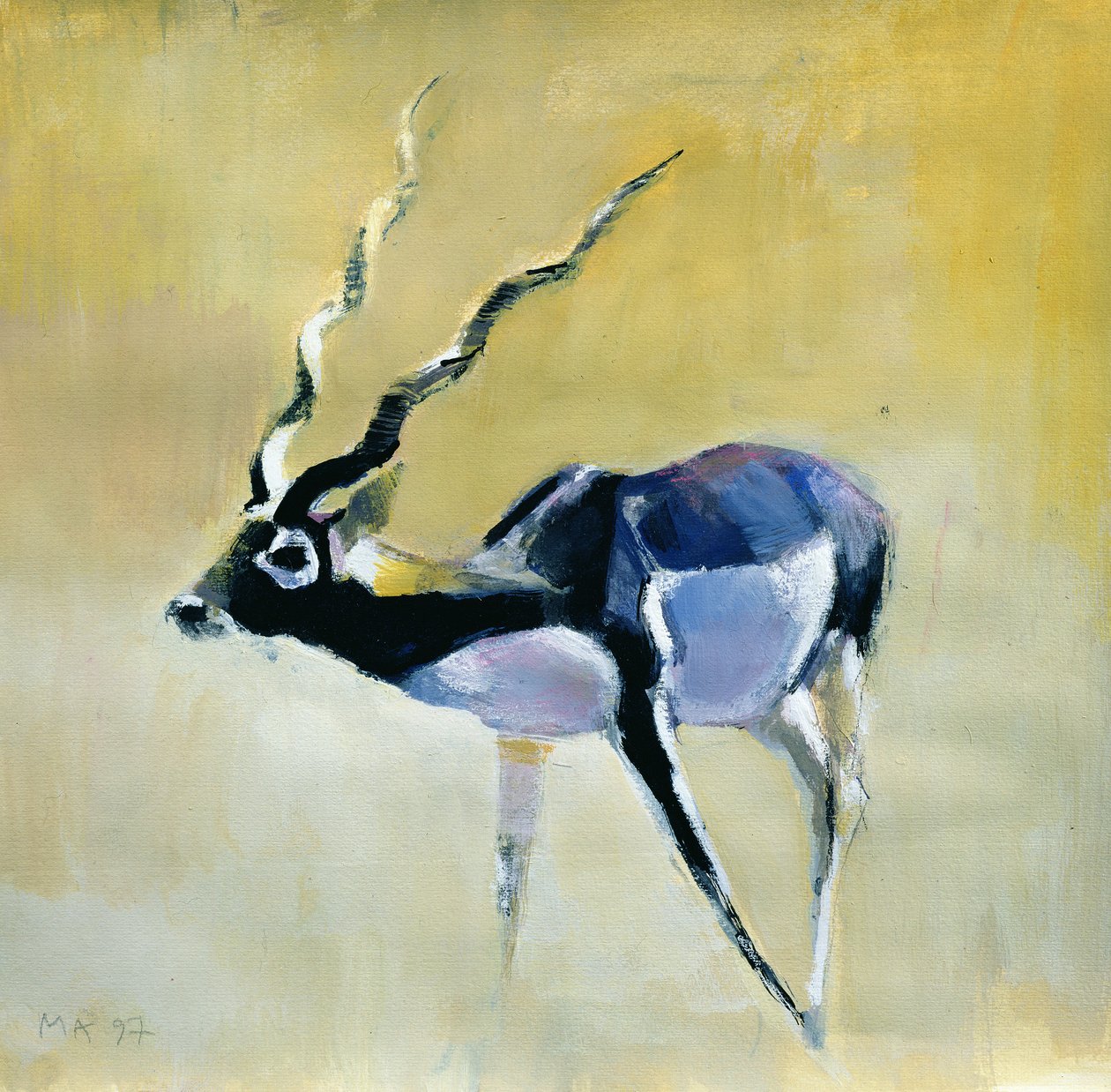 Black Buck, Velavadar, 1997 (vegyes média papíron) alkotó: Mark Adlington