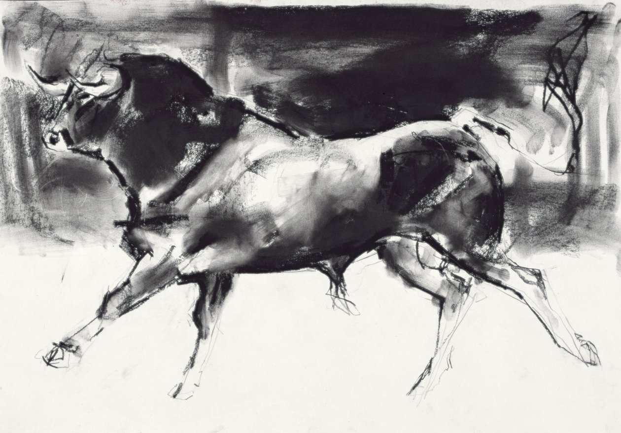 Black Bull (szén papíron) alkotó: Mark Adlington