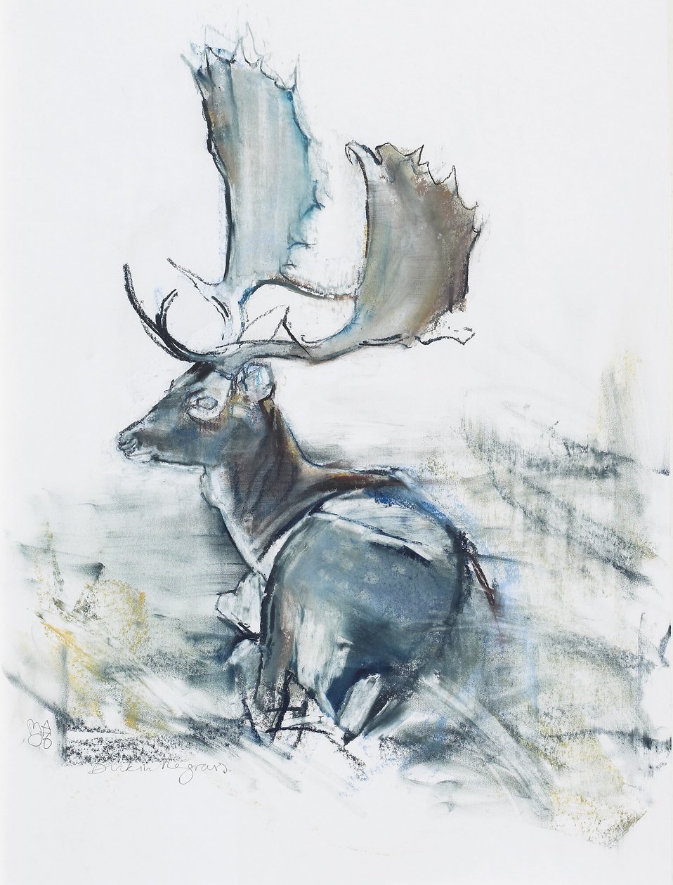 Buck in the Grass, 2006 (szén és konténer, papír) alkotó: Mark Adlington
