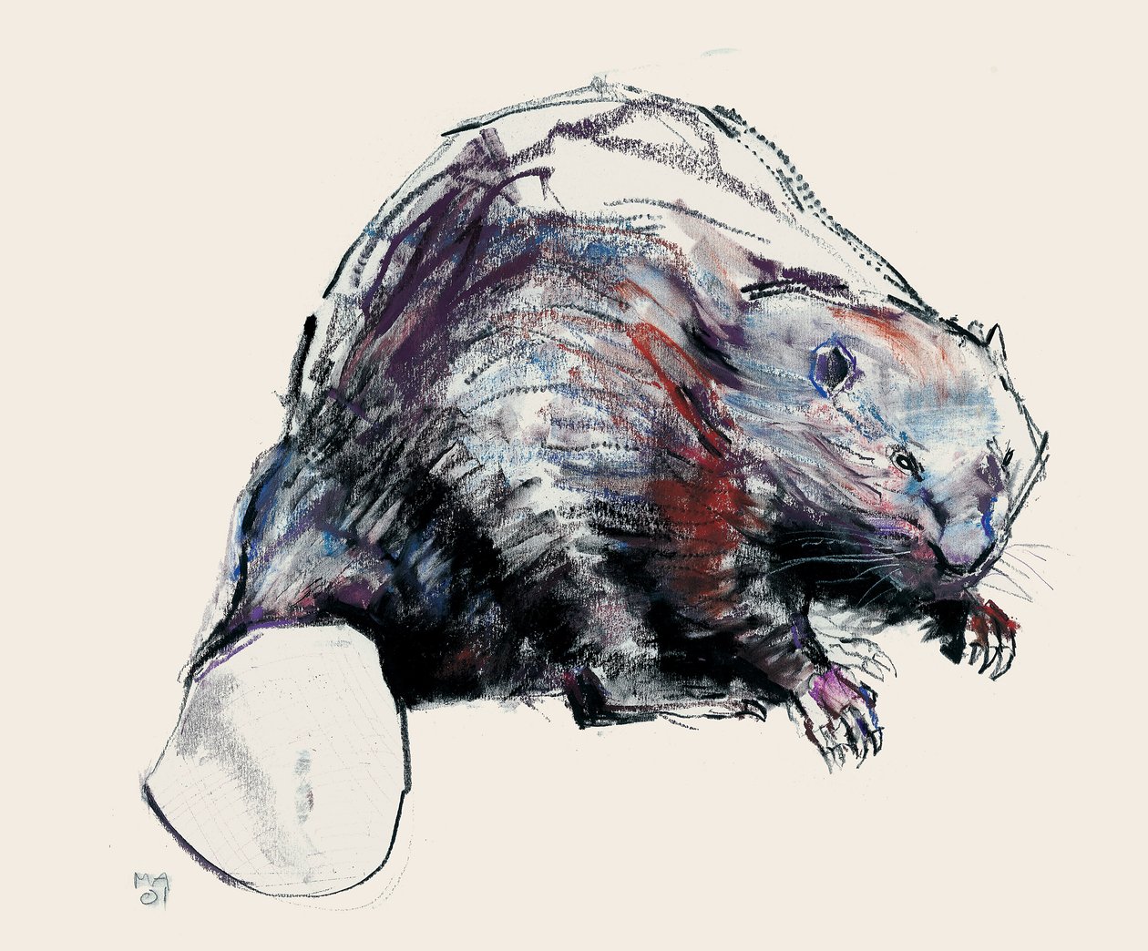 Castor Fiber, 2001 (szén és konténer, papír) alkotó: Mark Adlington