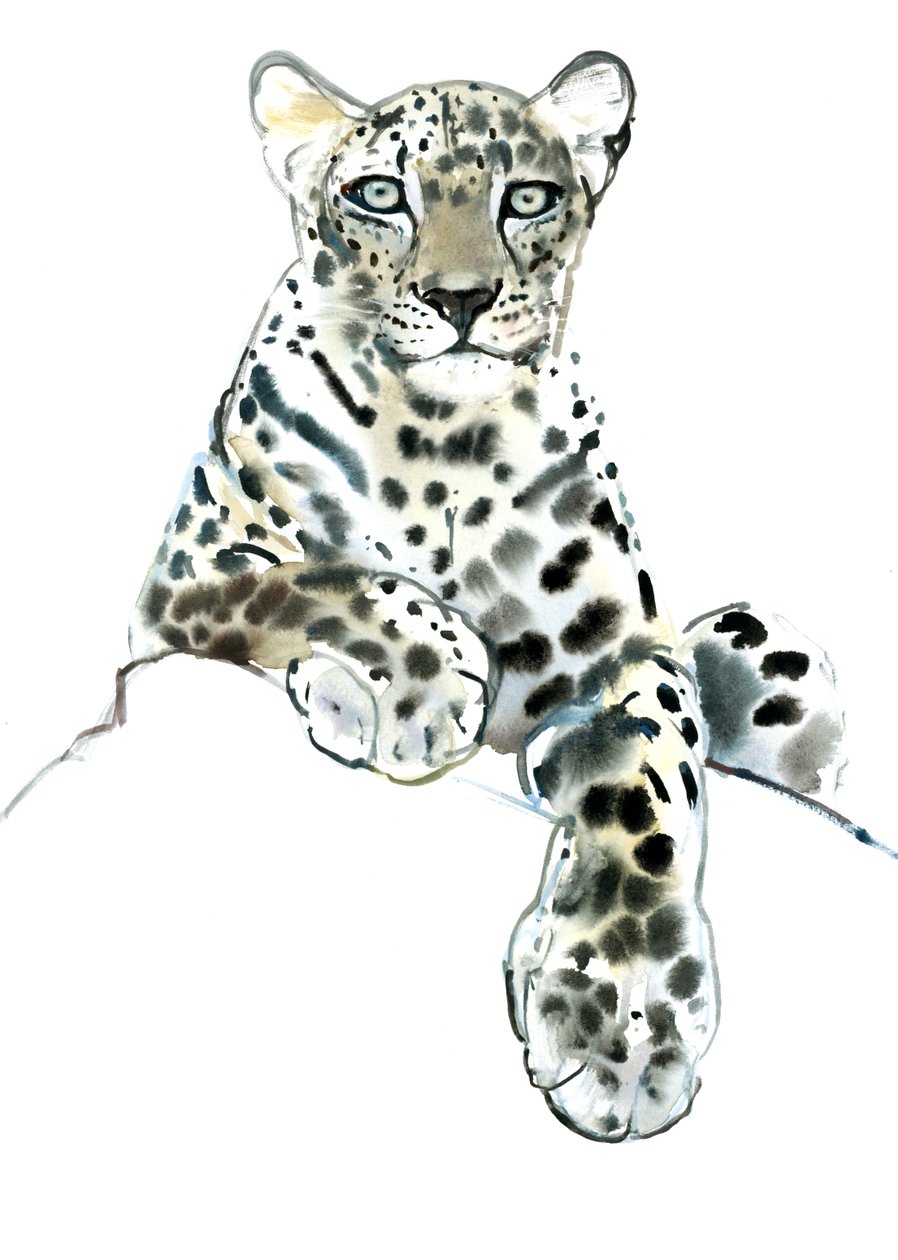 Direkt (arab leopárd), 2015, (akvarell és gouache papíron) alkotó: Mark Adlington
