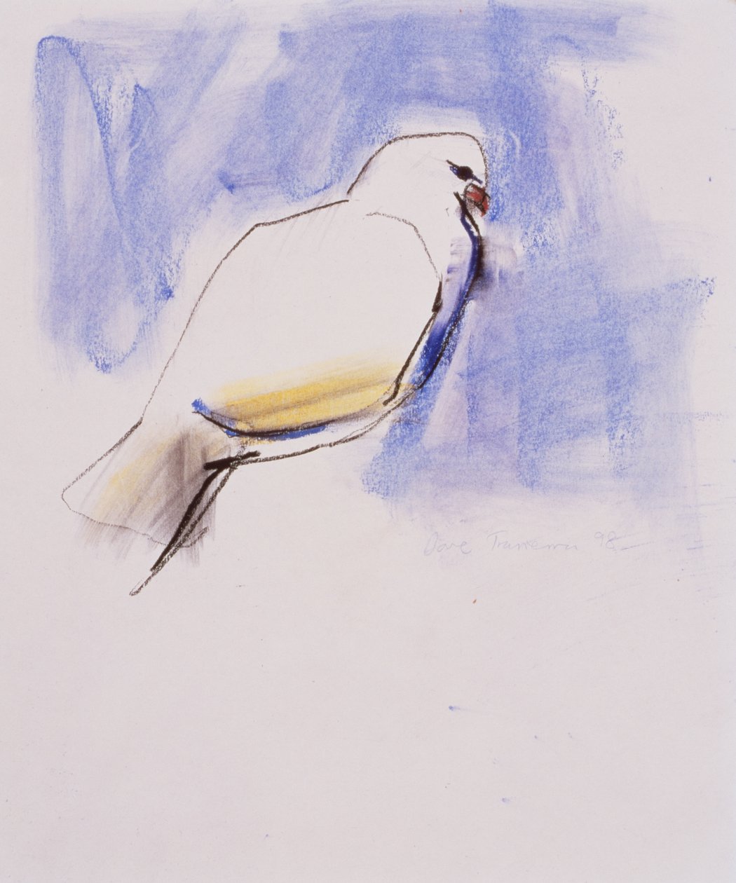 Dove, Trasierra, 1998 (grafit, szén és konté papíron) alkotó: Mark Adlington