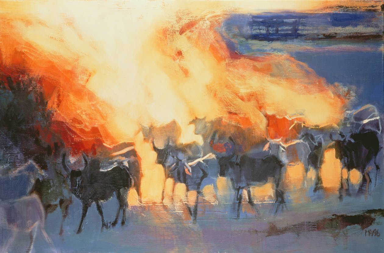 Porfelhő, Drung, 1996 alkotó: Mark Adlington