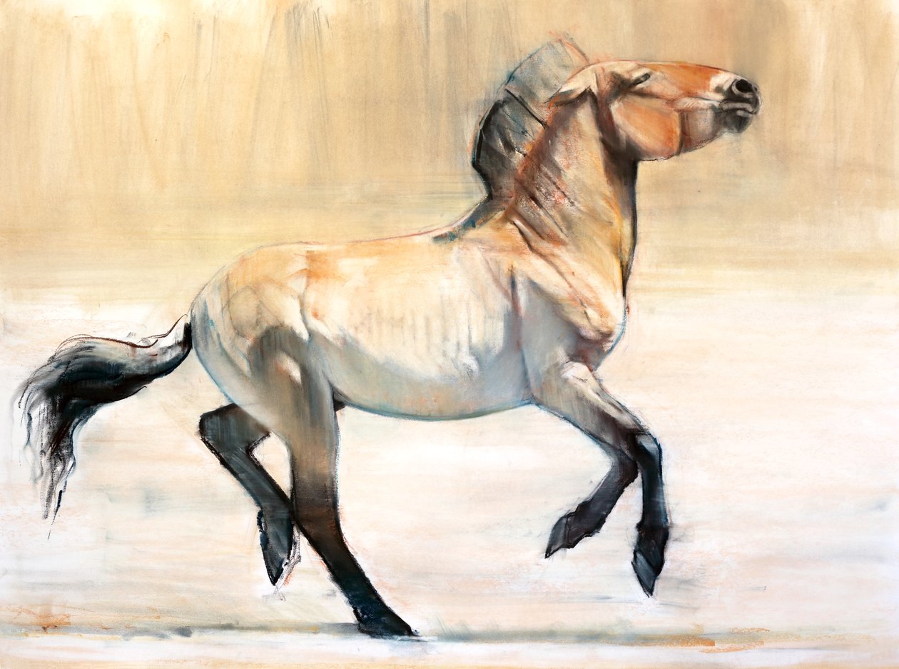 Equus (Przewalski), 2014, (pasztell és szén, papíron) alkotó: Mark Adlington