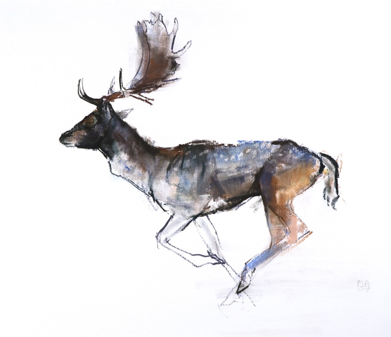 Esti bak (Dámszarvas), 2007, (pasztell és konté papíron) alkotó: Mark Adlington