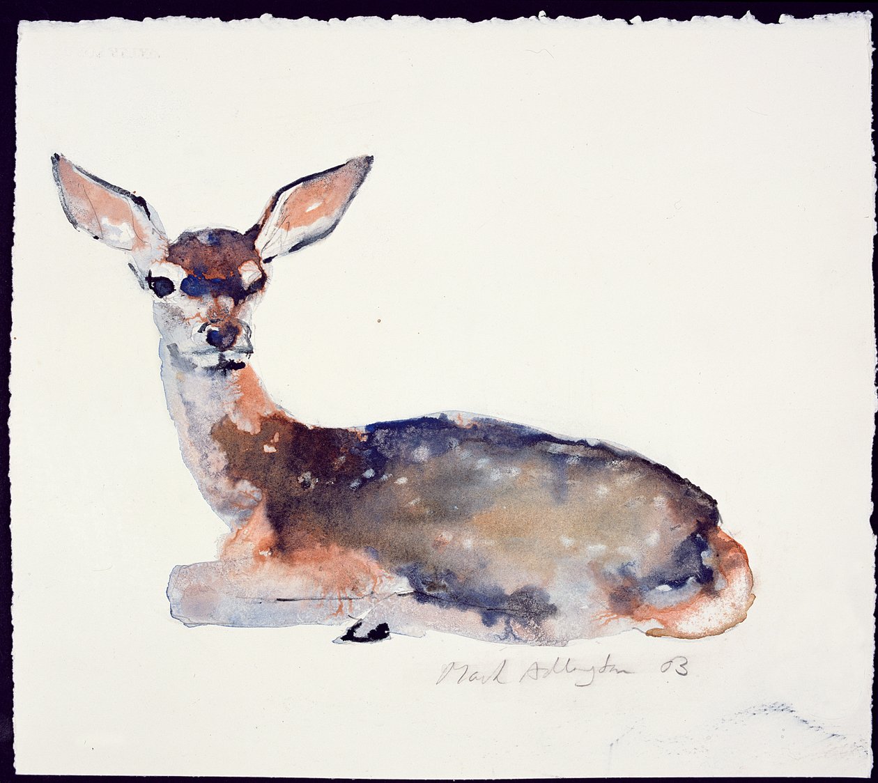 Fawn, 2003 (tinta és akvarell papíron) alkotó: Mark Adlington