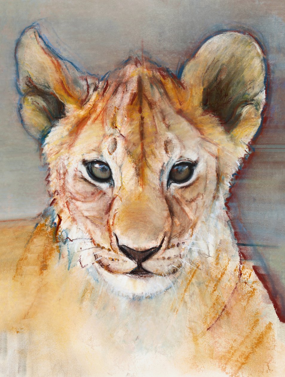 Heves kocka, Masai Mara, 2019 alkotó: Mark Adlington
