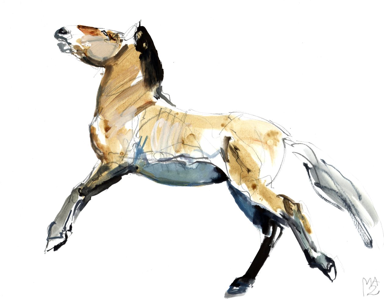 Ingyenes (Przewalski), 2012, (vegyes média papíron) alkotó: Mark Adlington