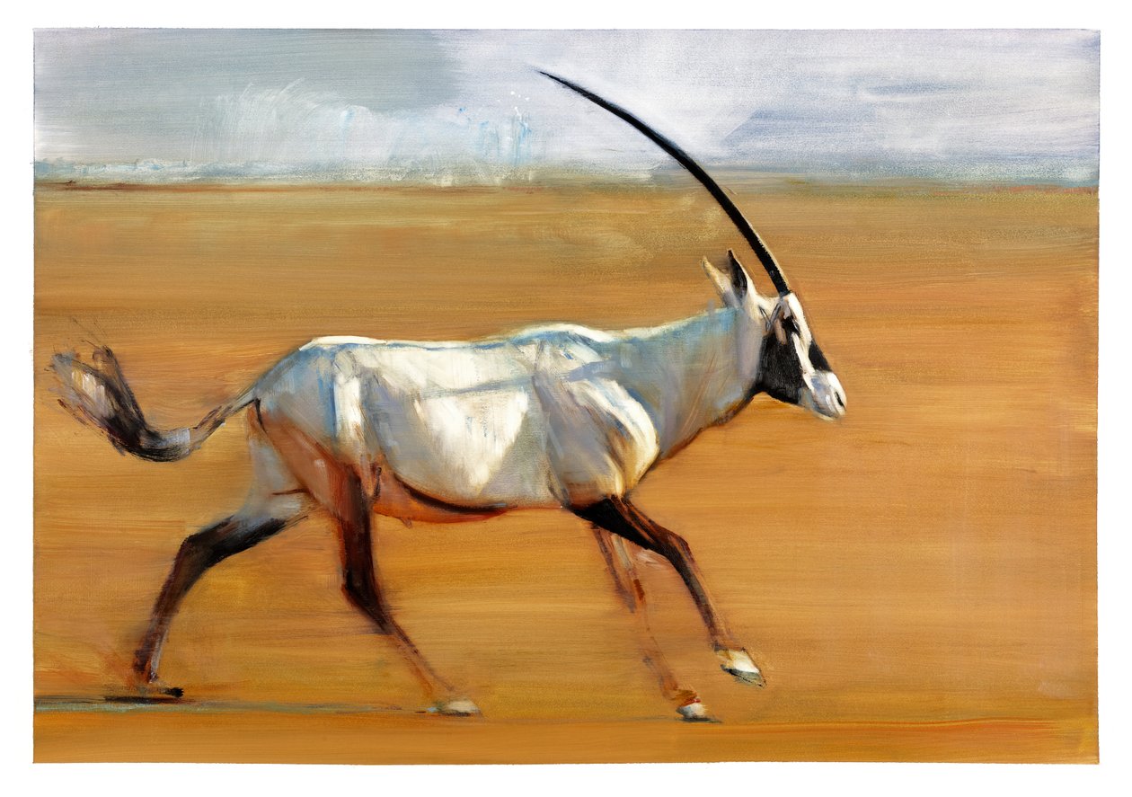 Galoppozó orex, 2010 (olaj, papír) alkotó: Mark Adlington