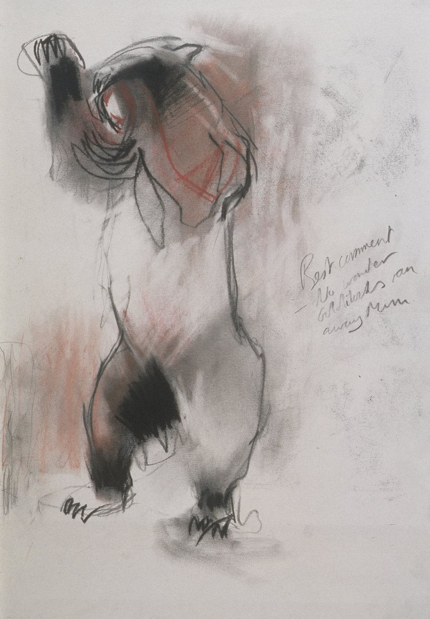Grizzly, 1995 (szén, grafit és konte papíron) alkotó: Mark Adlington