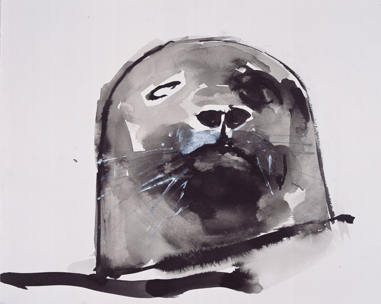 Királyfóka, West Cove (tinta és gouache papíron) alkotó: Mark Adlington