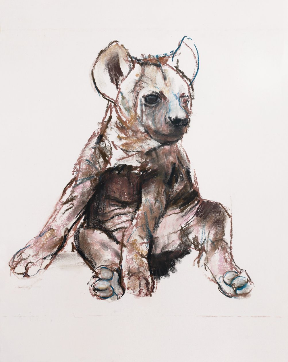 Hyaena Pup (ül), 2019 alkotó: Mark Adlington
