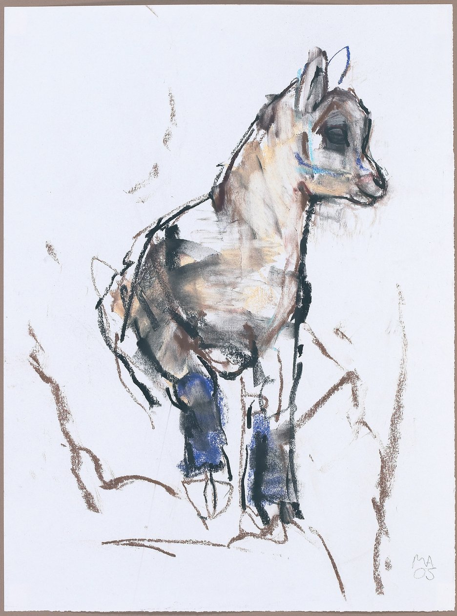 Ibex Kid (faszén és konte papíron) alkotó: Mark Adlington