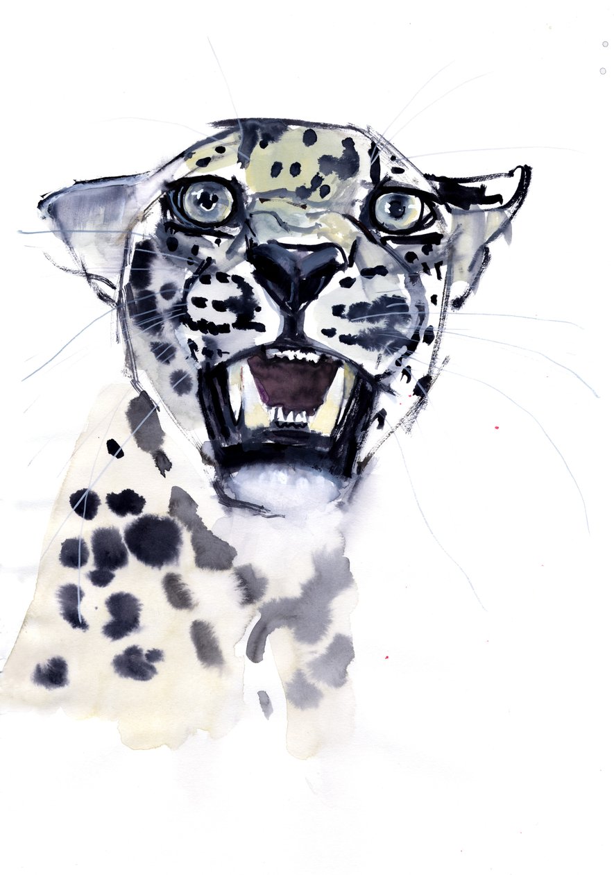 Incisor Snarl (arab leopárd), 2008 alkotó: Mark Adlington