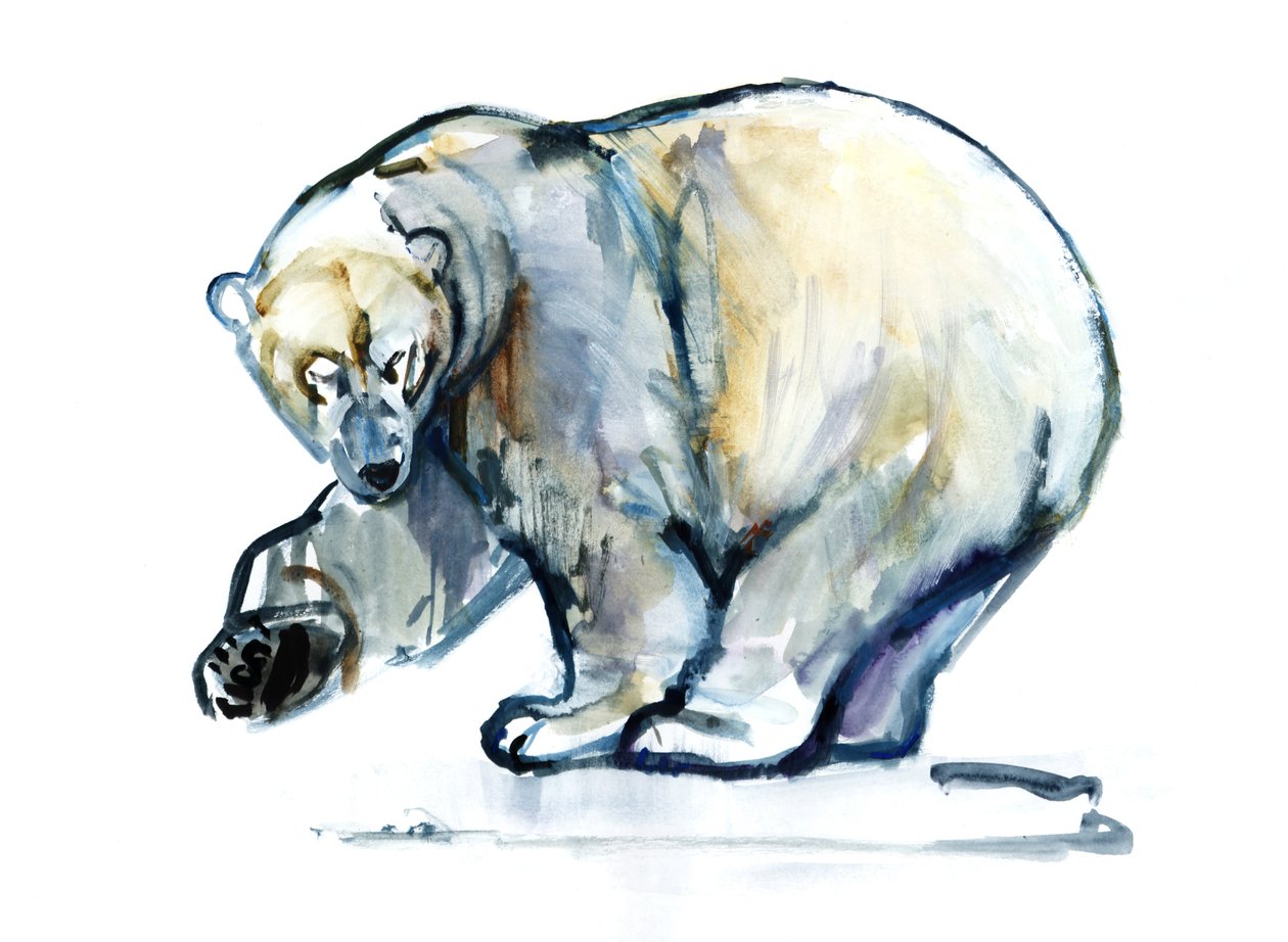 Isbjørn, 2013, (akvarell és gouache papíron) alkotó: Mark Adlington