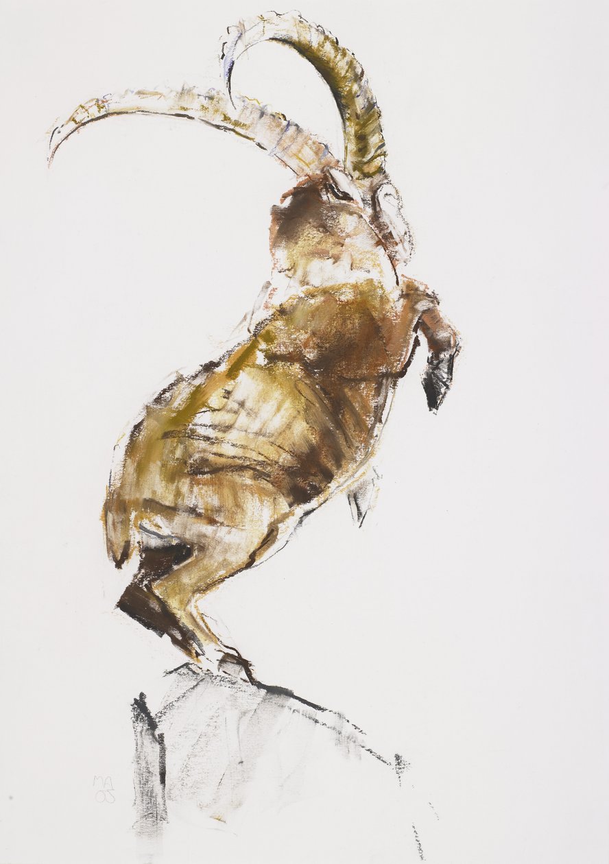 A hegy királya, 2005 (faszén és vers papíron) alkotó: Mark Adlington