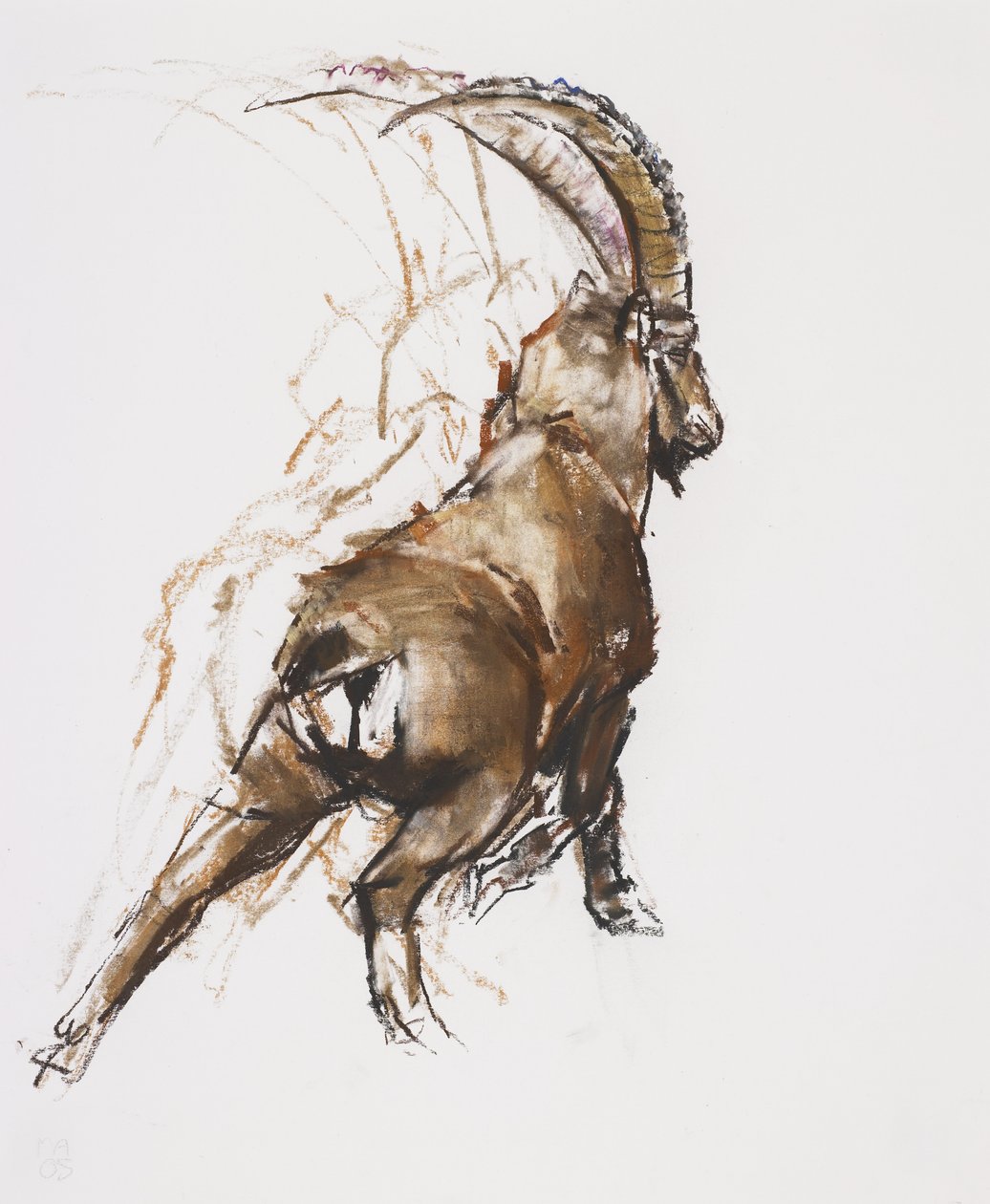 Leg Stretch (szén és konteó papírra) alkotó: Mark Adlington