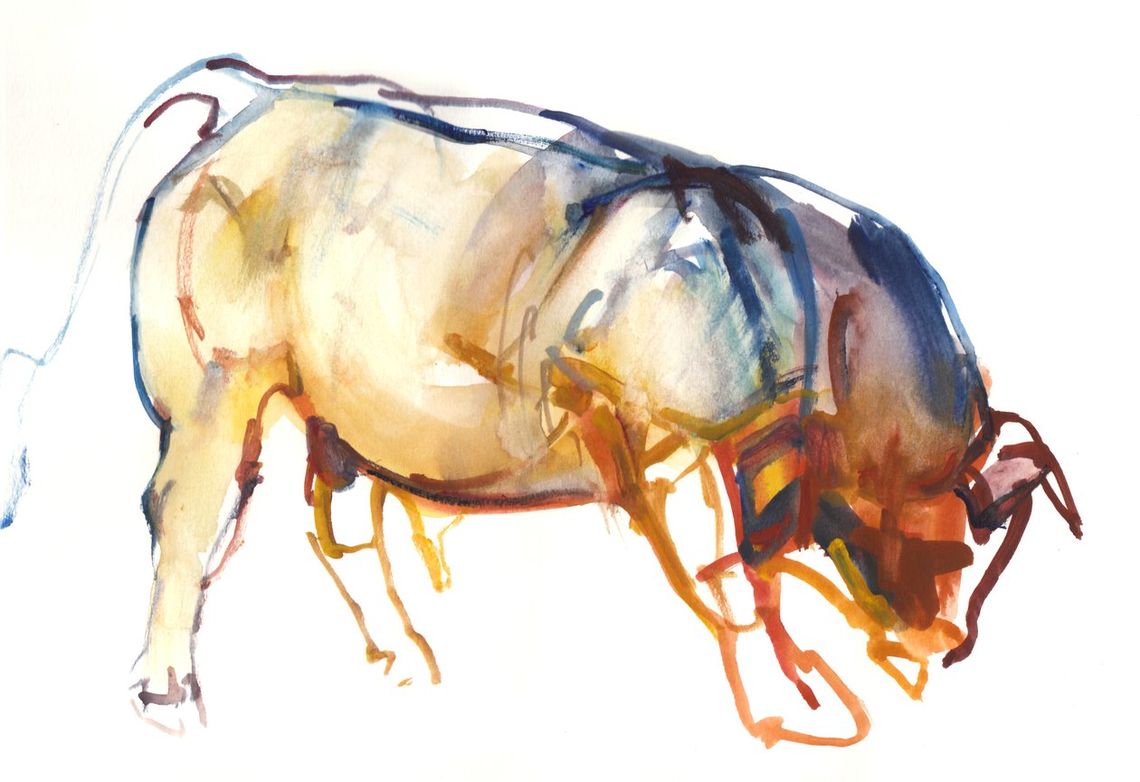 Little Bull, 2010, (akvarell és gouache papíron) alkotó: Mark Adlington