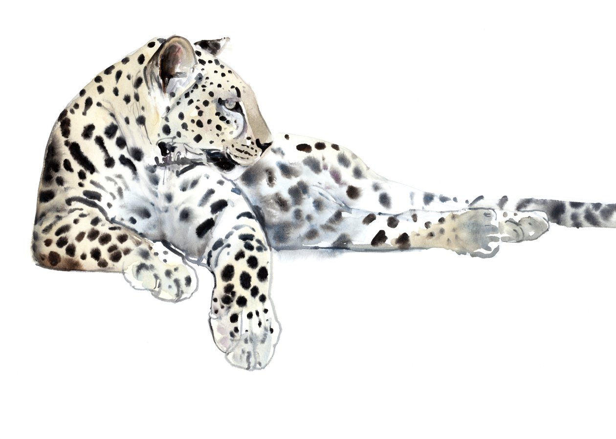 Hosszú (arab leopárd), 2015, (akvarell és gouache papíron) alkotó: Mark Adlington