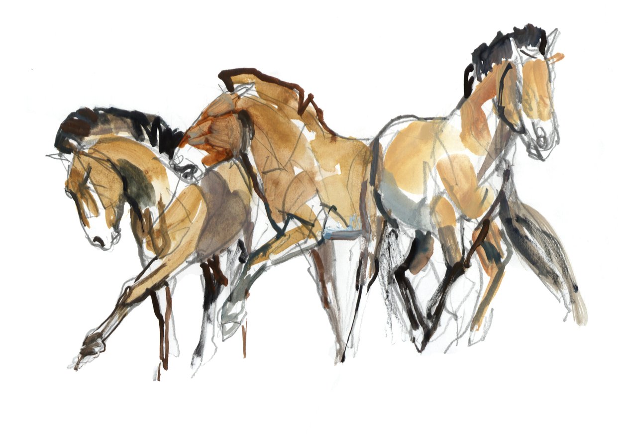 Mistral Three (Przewalski), 2013 (sennelier tus, akvarell és gouache) alkotó: Mark Adlington