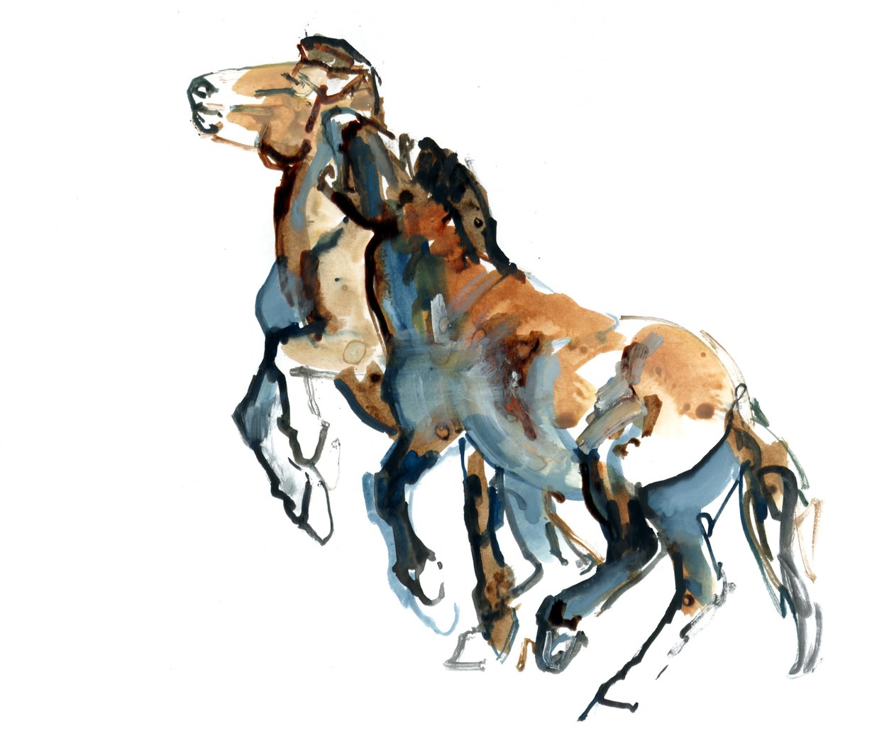Neckbite, 2013 (sennelier tinta, akvarell és gouache) alkotó: Mark Adlington