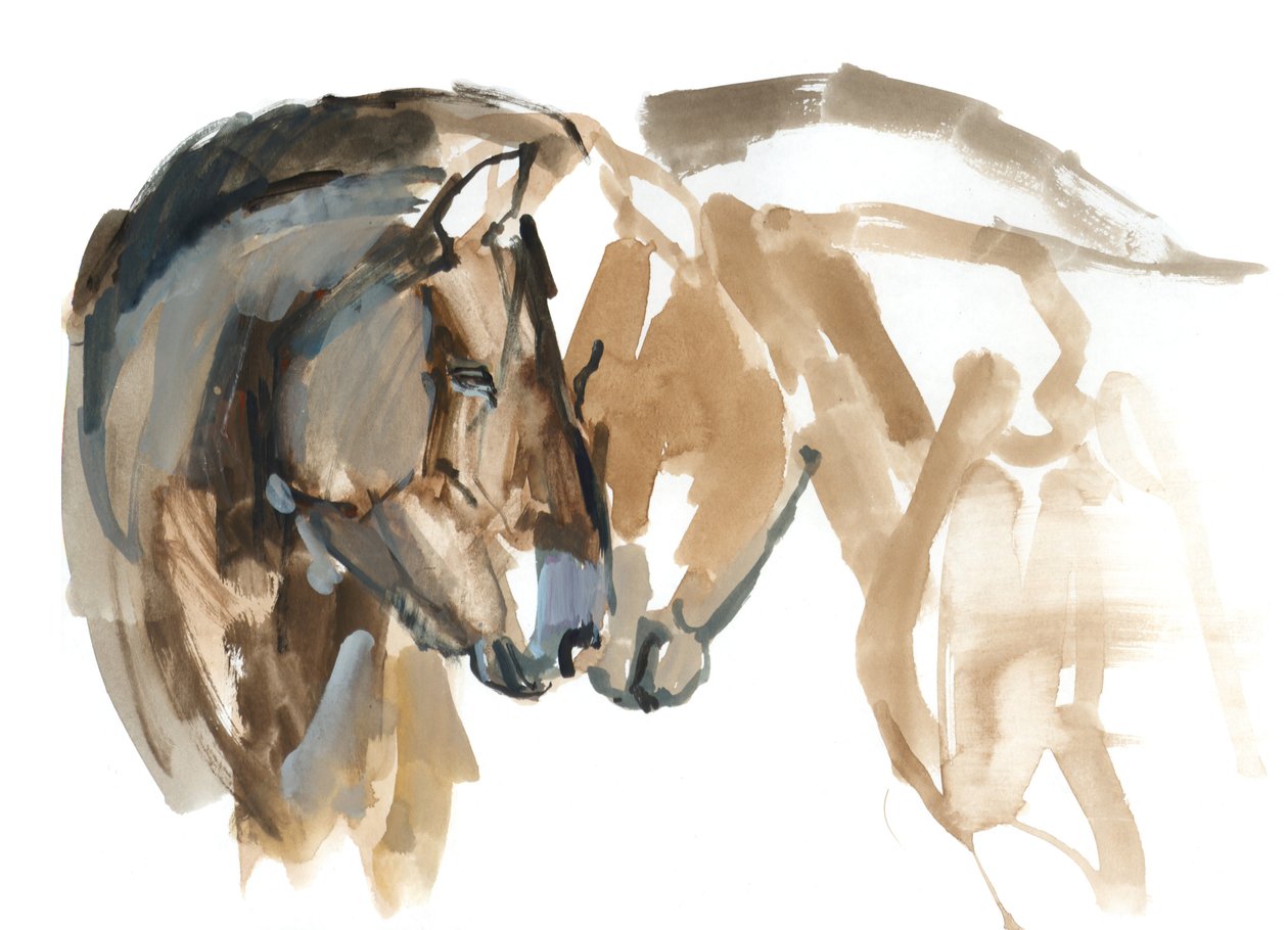 Orrtól orrig (Przewalski), 2013 (sennelier tus, akvarell és gouache) alkotó: Mark Adlington