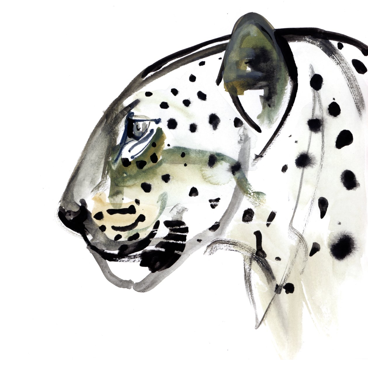 Tökéletes profil, 2015 alkotó: Mark Adlington