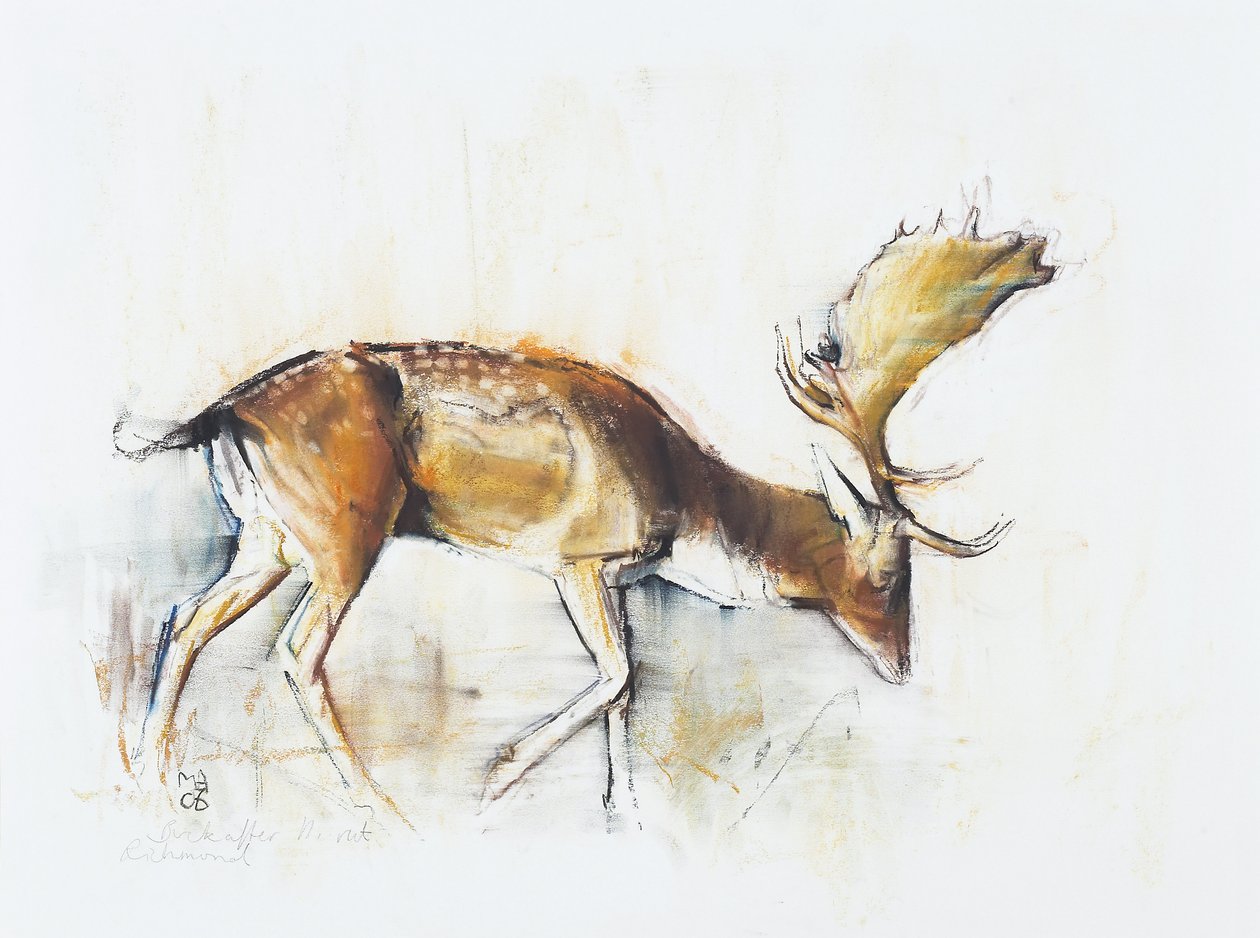 Pisanello Buck, 2006 (szén és konténer, papír) alkotó: Mark Adlington