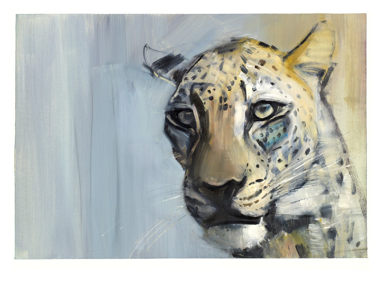Predator (Arab Leopard), 2009 (olaj, papír) alkotó: Mark Adlington